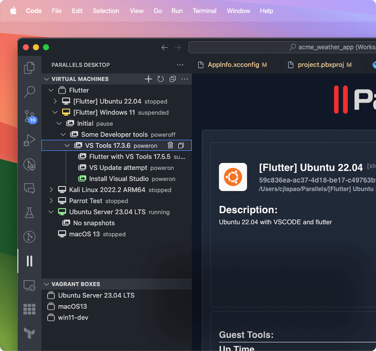 使用 Visual Studio Code 扩展程序从用于编码的同一地方快速启动、分组和编排虚拟器和 Vagrant 盒子
